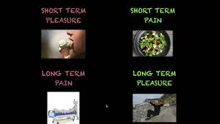 Pain Pleasure Principle
