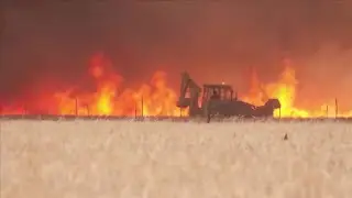 Boskell - Working on the Firebreaks with my dogs 26th July 2022