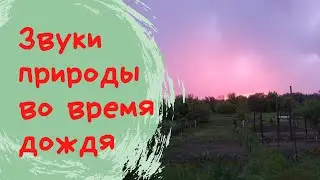 Летний дождь. Звук дождя. Раскаты грома.
