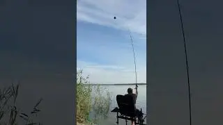 #shorts фидерная рыбалка прошла успешно 🎣💪 #рыбалка #fishing #фидер #фидернаярыбалка