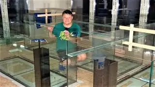 Три аквариума 4. Плодотворный день