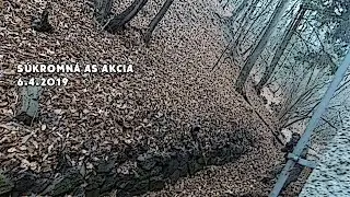 6.4.2019 - Súkromná as akcia