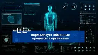 ТОП-25 продукции Компании АРГО. Аппликатор Ляпко