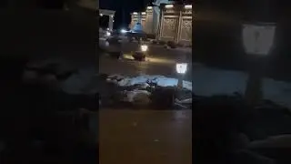 На улицах города Нахчыван появились волки