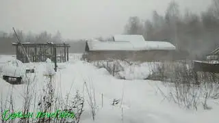 Ружа