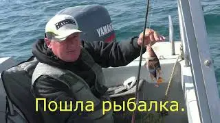 Начало рыбалки у КРЫМСКОГО МОСТА.