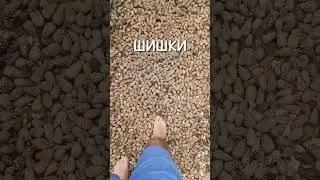 Нашёл уникальное место, где вы сможете пройти по более 40 видам поверхностей босиком!