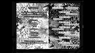 YOUR DELIGHT MY PLEASURELIVE STREAMED AT 2 VENUES,forestlimit & BUSHBASH
