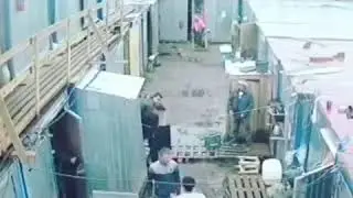 Шер бачахои точик чанг дар Россия дар вакти кор