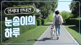 연세대 안내견 눈송이의 하루