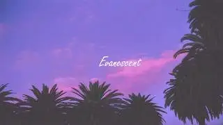 nicki minaj - megatron{slowed down}