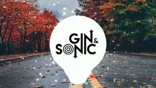Eminem -  Without Me (Gin and Sonic Remix)