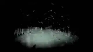 Видеорегистратор снял нечто на ночной дороге