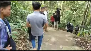 Potensi alam di Indragiri hulu