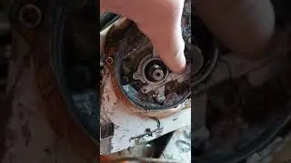 Китайское сцепление(((   Штиль 361