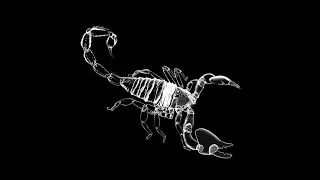 Otherside (ITA) - Scorpio (Original Mix)