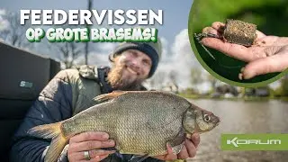 FEEDERVISSEN OP (grote) BRASEMS!