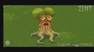 все виды я щу варю варю