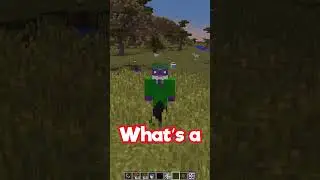 Riddle Me This, Viewer