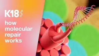 K18 Hair: How molecular repair works
