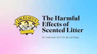 The Harmful Effects of Scented Litter
