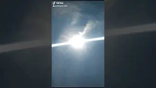 Доброе утро🐶🌞🐶