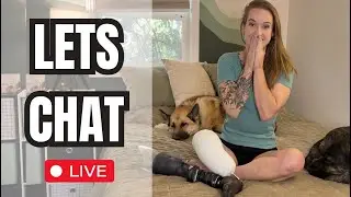 chatty stream for those of us who hate halloween, or anyone who doesn't have plans 💜