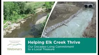 Helping Elk Creek Thrive: Our Decades-Long Commitment to a Local Treasure
