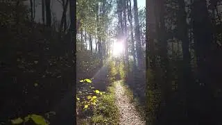 Твой успех в сетевом бизнесе зависит только от тебя #бизнесонлайн #мотивациянауспех