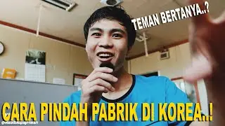 CARA PINDAH KERJA KE PABRIK BARU DI KOREA | TKI KOREA SELATAN