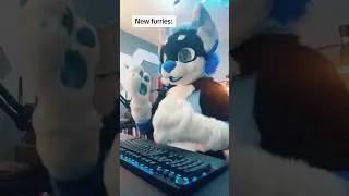 How to get a cheap fursuit! (Furry fandom)
