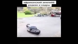 Боже что эта за ужас вы такого точне не видели