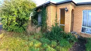 30 Hour Full Yard Cleanup with Crazy Weed Infestation!!!