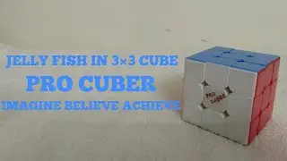 JELLY FISH IN 3×3 CUBE | PRO CUBER
