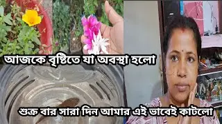 শুক্র বার সারা দিন টা আমার এই যে ভাবে কাটলো @amblogs.5205