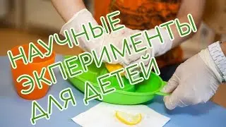 AMAZING SCIENCE EXPERIMENTS - A RUBBER EGG! НАУЧНЫЕ ЭKСПЕРИМЕНТЫ - как сделать РЕЗИНОВОЕ ЯЙЦО))
