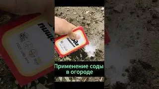 Using baking soda in the garden 