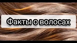 Факты о волосах