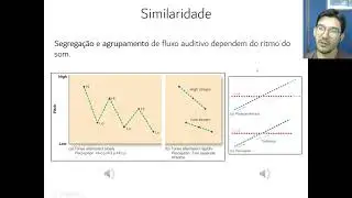 Aula 14 - Organização perceptual e neural da audição (parte 1)