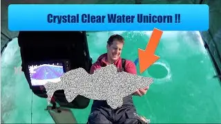 Crystal Clear Water Ice fishing