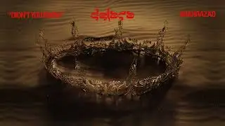 Delara - Didn't You Know (Visualizer)