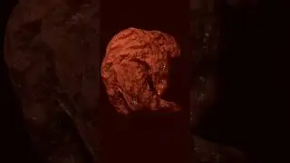 Meaty Torus