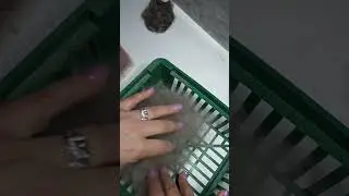 Группа прядильная https://vk.com/niti_zizny https://vk.com/niti_zhzni