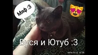Буся - новая звезда моего Ютуб канала :3