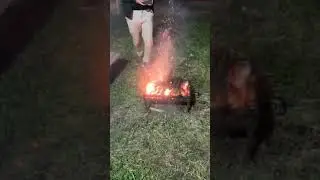 Mangal Drone