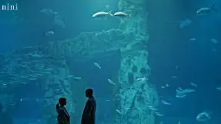 Gil Oh Sol x Jang Sun Kyul || Clean with Passion for Now MV