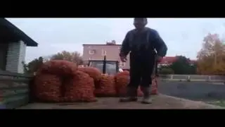 jestes scierwem lewackim