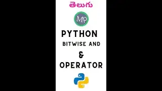 Bitwise & operator in python 