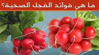 فوائد الفجل   هل تعلم ما هي فوائد الفجل التي أذهلت الجميع