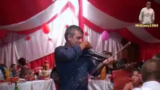 Grupul Profesional-Hora miscata vioara